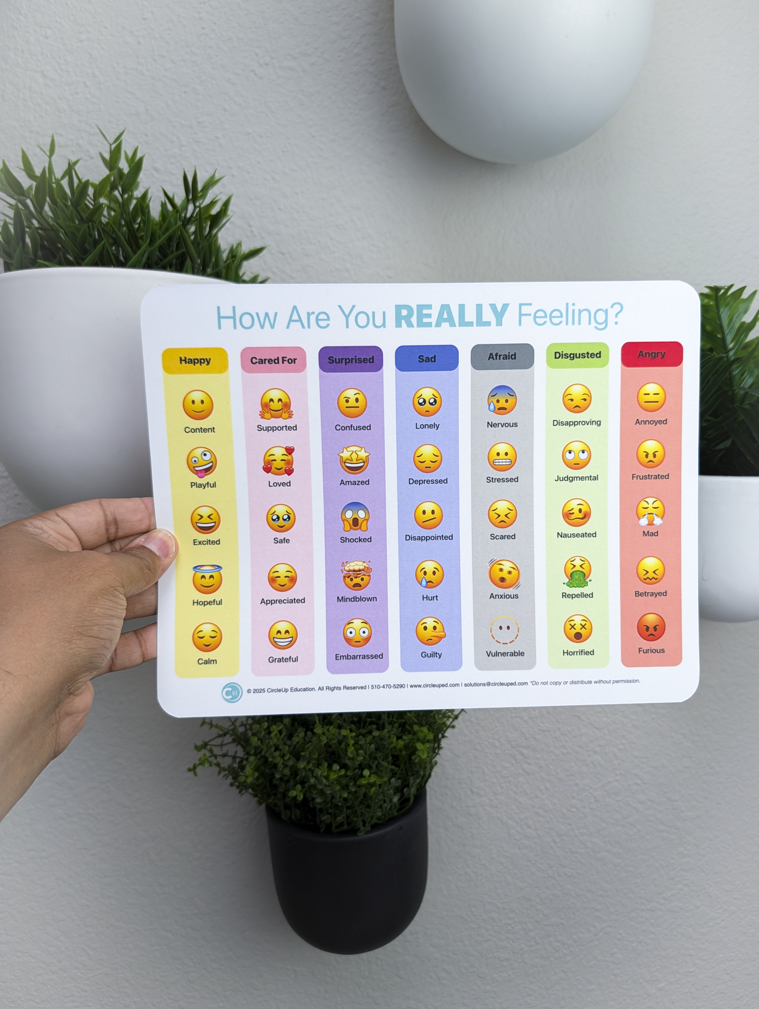 Emoji Feelings Chart for Kids | SEL Emotion Chart – CircleUp Education