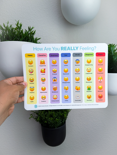 Emoji Feelings Chart for Kids | SEL Emotion Chart – CircleUp Education