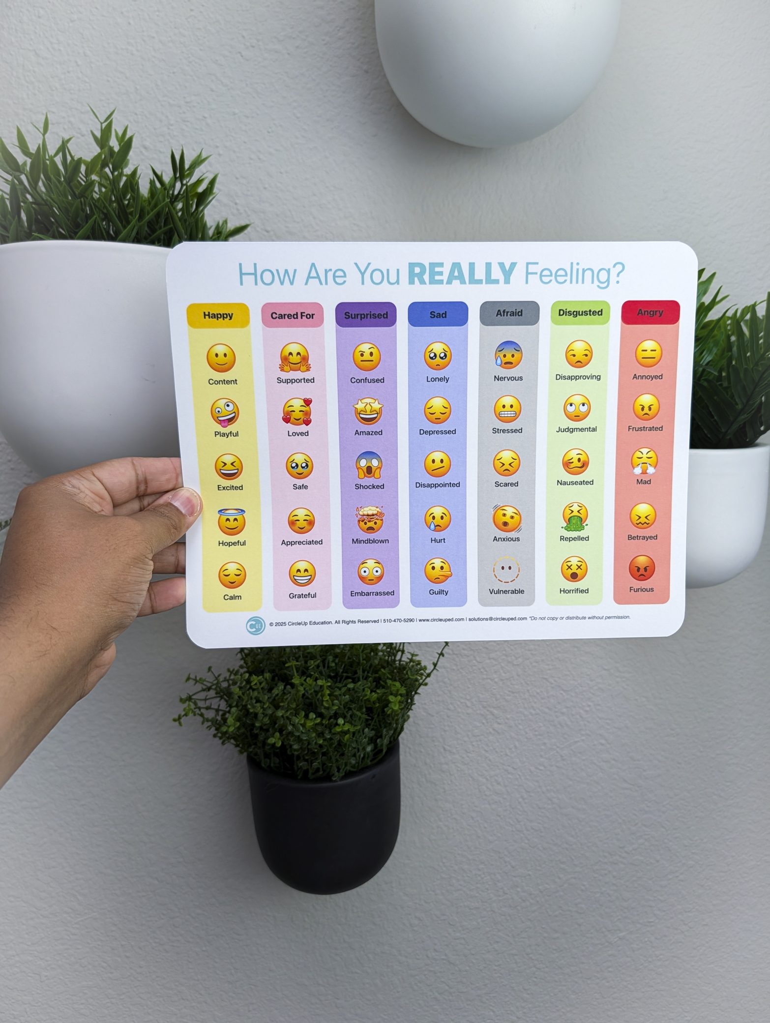 Emoji Feelings Chart for Kids | SEL Emotion Chart – CircleUp Education