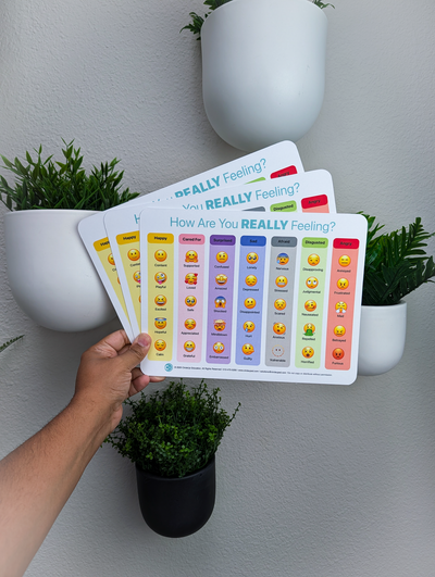 Emoji Feelings Chart for Kids | SEL Emotion Chart – CircleUp Education