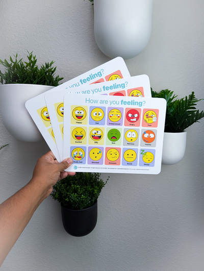 Emoji Feelings Chart for Kids | SEL Emotion Chart – CircleUp Education