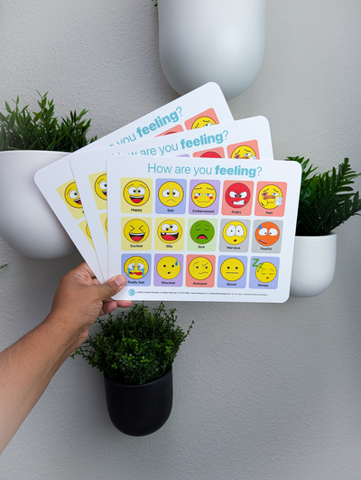 Emoji Feelings Chart for Kids | SEL Emotion Chart – CircleUp Education