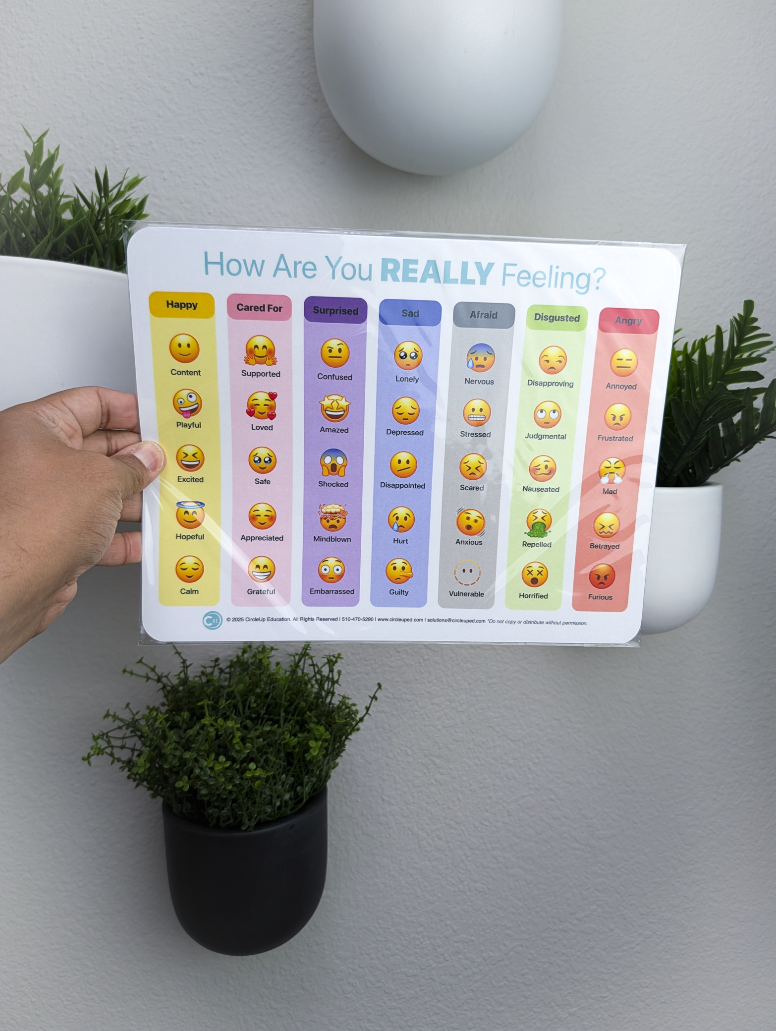 Emoji Feelings Chart for Kids | SEL Emotion Chart – CircleUp Education